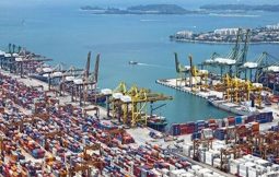 Logistics Consulting Services