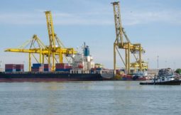 Sea Freight Forwarding Services